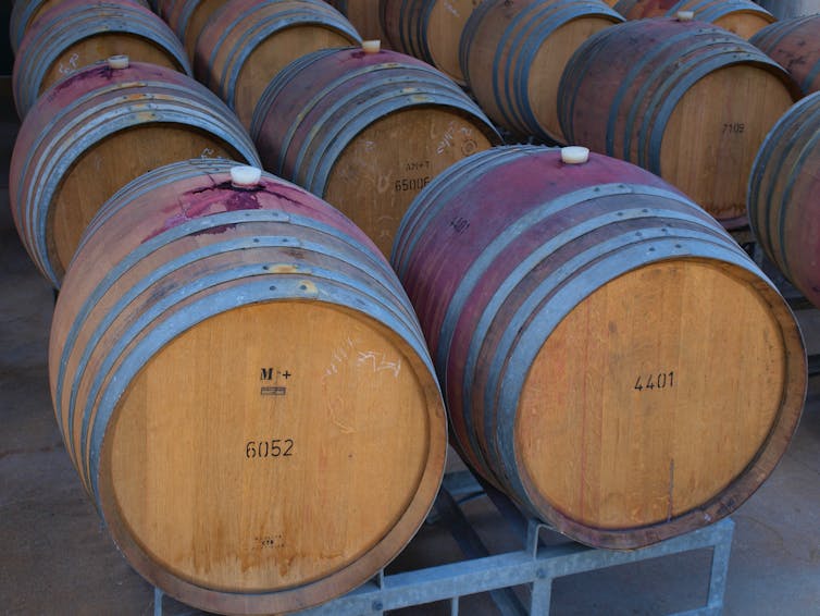 Barrells of fermenting wine