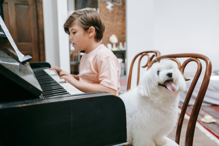 A young child plays the piano. A fluffy white dog is seated next to them.