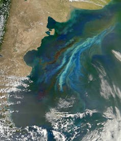 A satellite image of a landmass with ocean next to it with swirls of turquoise and green.