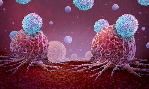 inmunoterapia – News, Research and Analysis – The Conversation – page 1