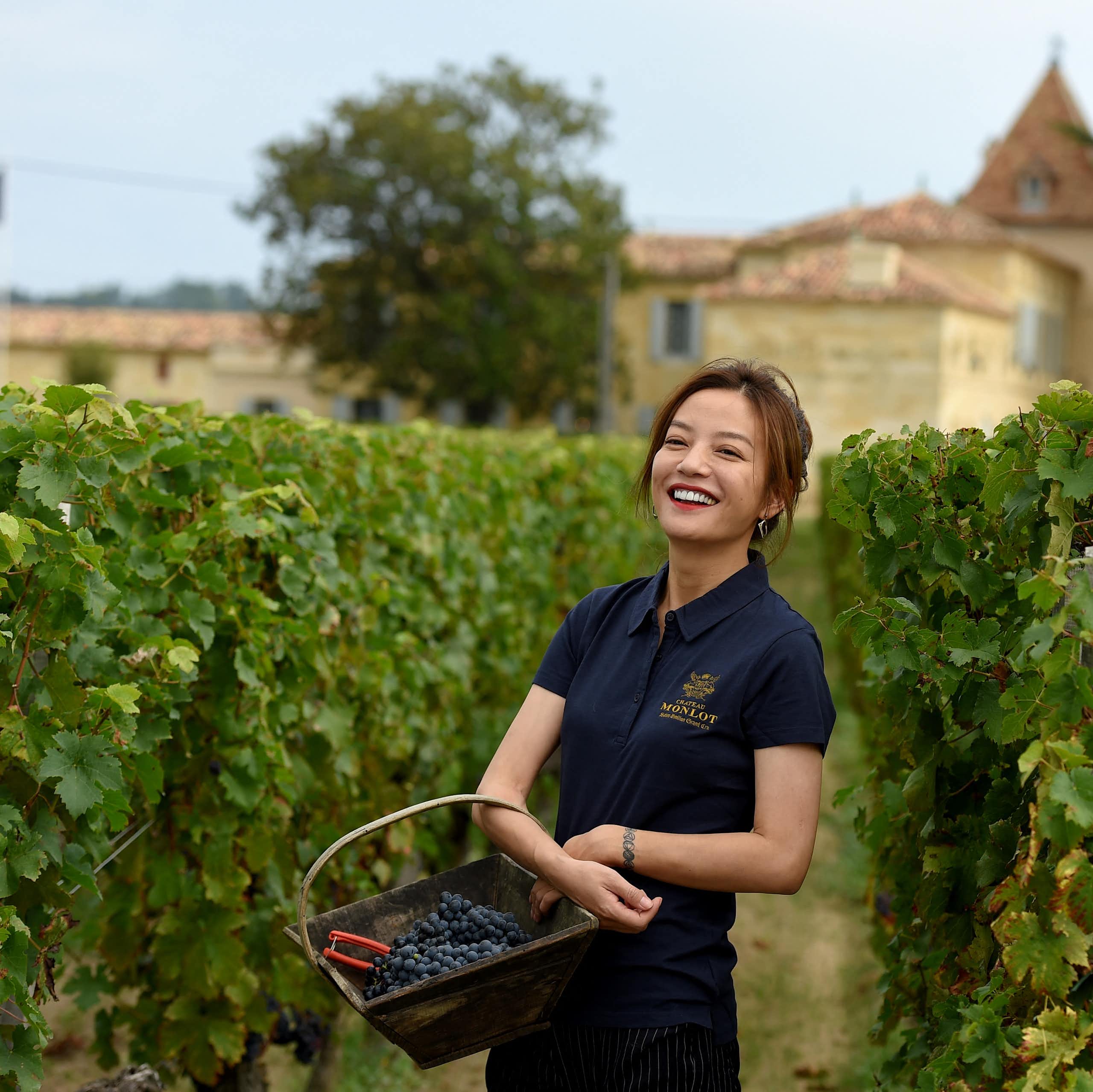 Chinese acquisitions in the Bordeaux vineyards: have their new owners really been neglecting them?
