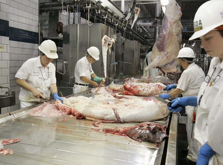 Personas con cascos y chaquetas blancas cortan cadáveres de carne.