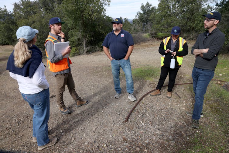 People wearing reflective safety vests stand in a clearing.