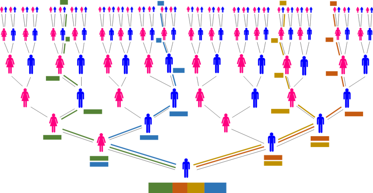 family tree