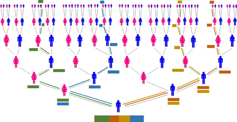 family tree