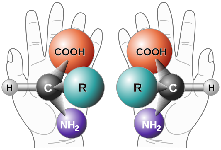 A drawing of two hands holding two configurations of a chemical model. The two configurations mirror each other.