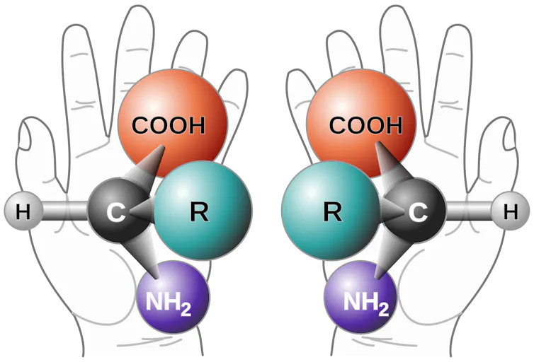 A drawing of two hands holding two configurations of a chemical model. The two configurations mirror each other.