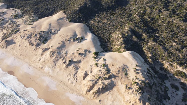 An oblique aerial view of the study site showing the formation of steep sand cliffs (~12m high) and new sand dunes smothering vegetation inland