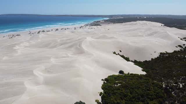 Sand is being blown inland, forming new dunes