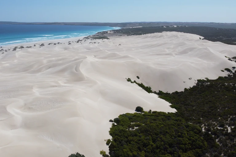 Sand is being blown inland, forming new dunes