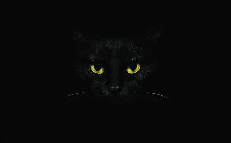 A photo of a black cat faintly distinguishable from a black background.