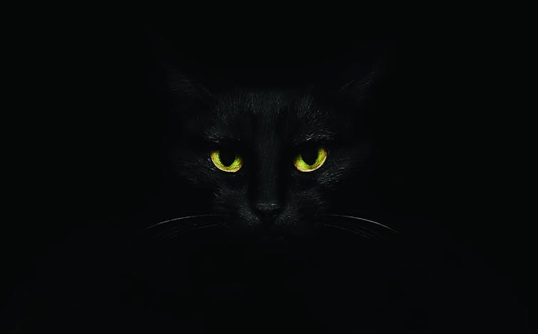 A photo of a black cat faintly distinguishable from a black background.