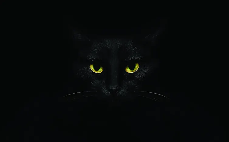 A photo of a black cat faintly distinguishable from a black background.