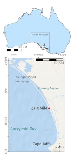 Locator maps pinpointing the dune study area, half a mile southeast of 42 Mile Crossing in South Australia