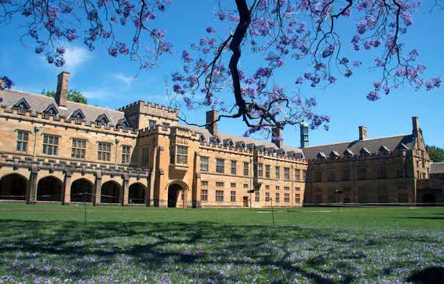 The main quadrangle at Sydney University, with sandstone buildings and a jacaranda tree.
