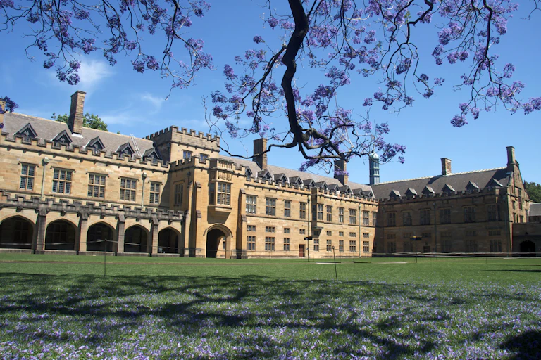 The main quadrangle at Sydney University, with sandstone buildings and a jacaranda tree.