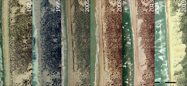 Aerial imagery showing the formation of new sand dunes as the shoreline is eroded by waves