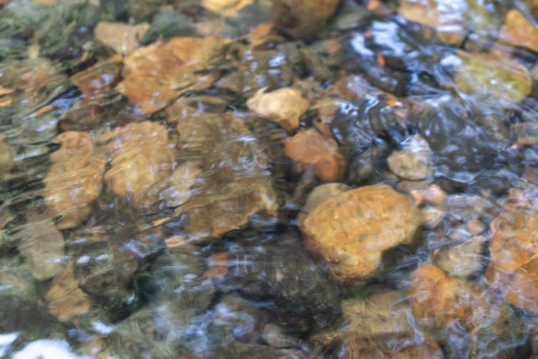 Water running over rocks in a riverbed.