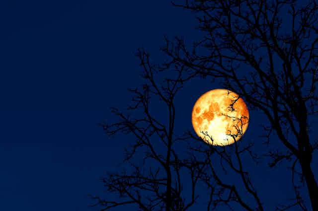 Orange full moon