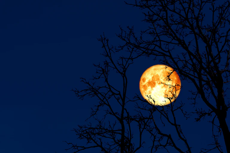 Orange full moon