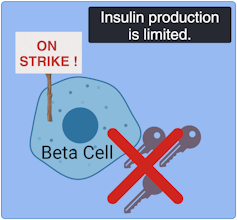 Illustration of a beta cell with a sign saying 'On strike!' and keys with an X over them