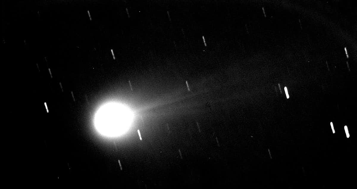 Cometas File-20240327-26-lwwwws.jpg?ixlib=rb-1.1