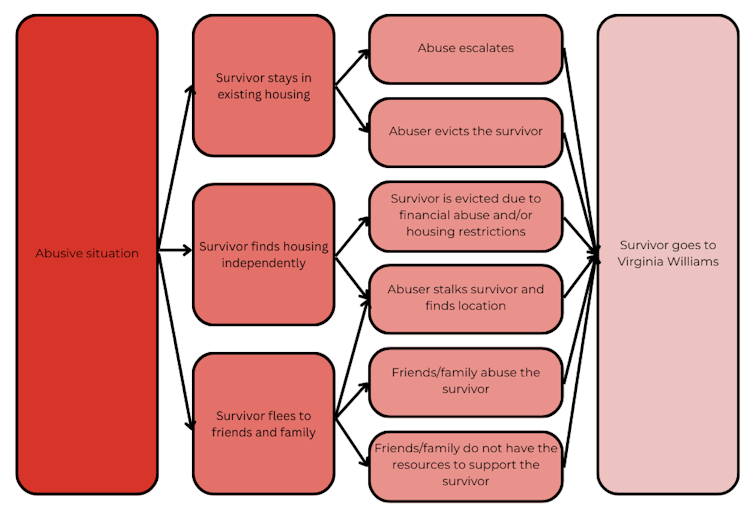 An orange and pink flow chart showing the different situations domestic violence survivors go through before they can access public safe housing