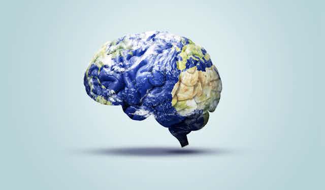 Brain coloured with world map 