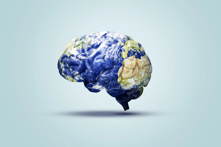 Brain coloured with world map