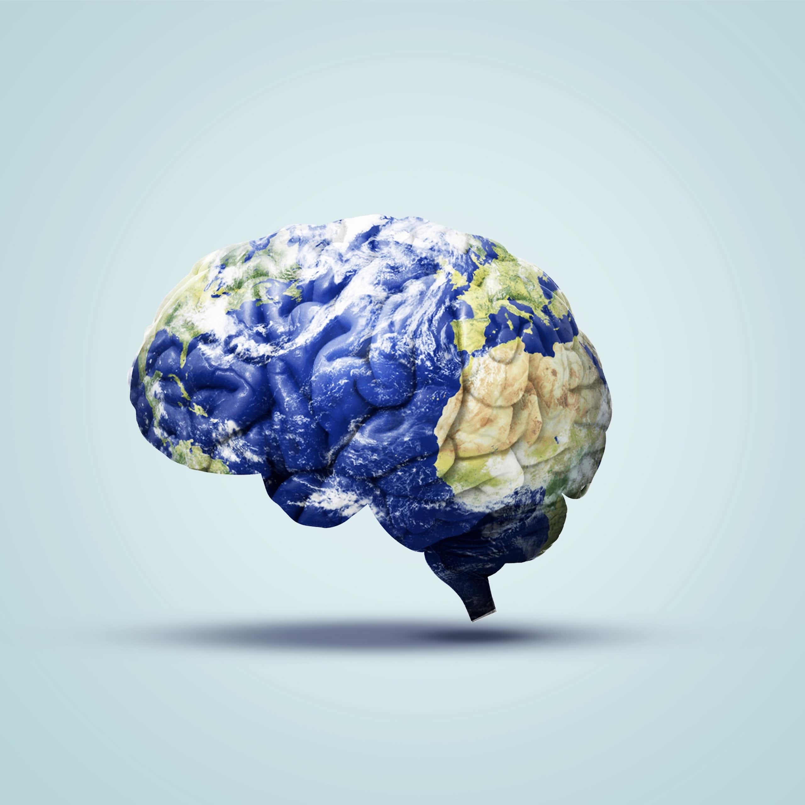 Brain coloured with world map 
