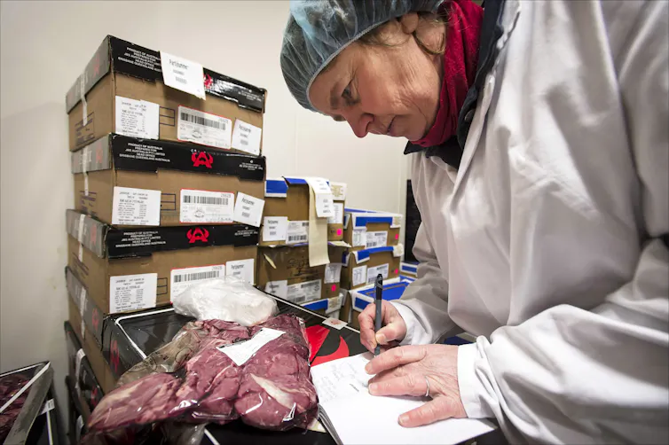 A scientist in a white lab coat stares at a piece of red meat.