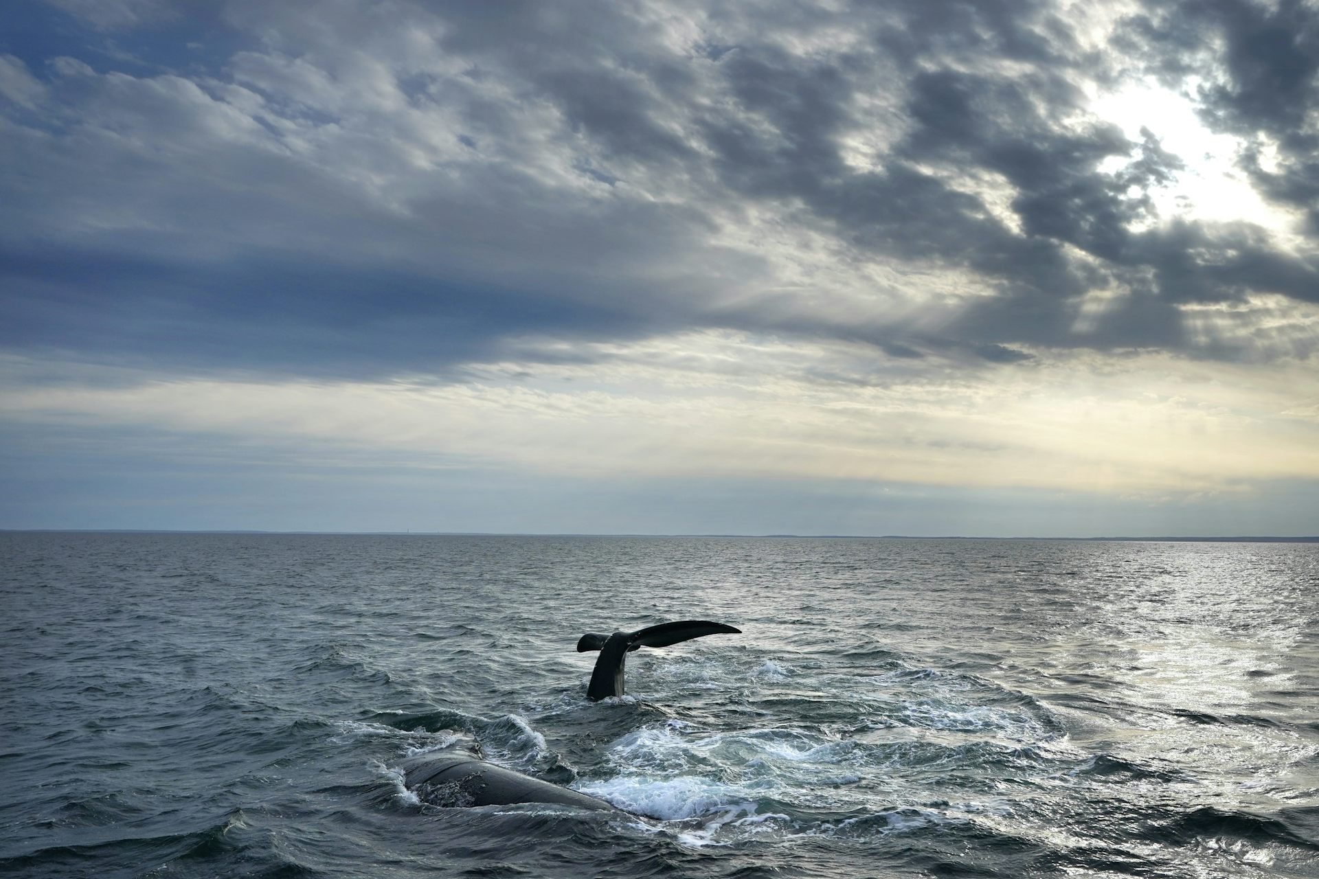 The Challenges of Ocean Acidification