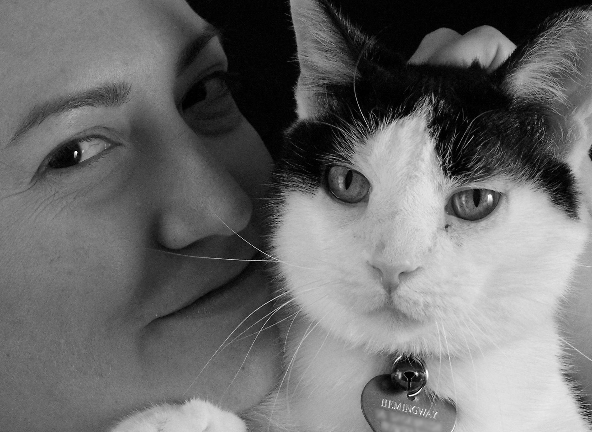 Breaking Down Experiences Into Millions Of Parts May Help Explain Consciousness