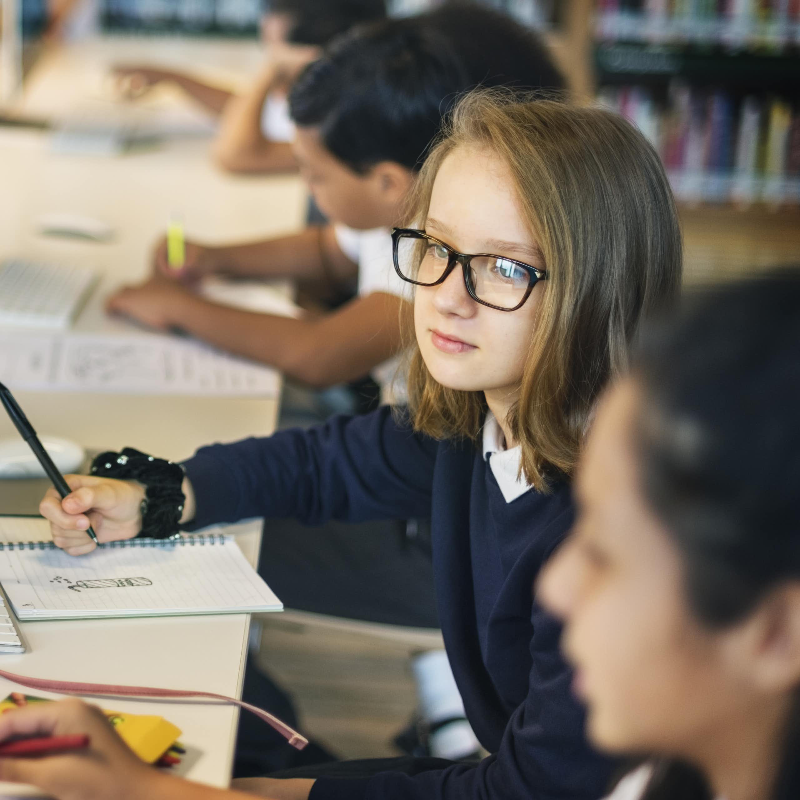 School pupils using computers