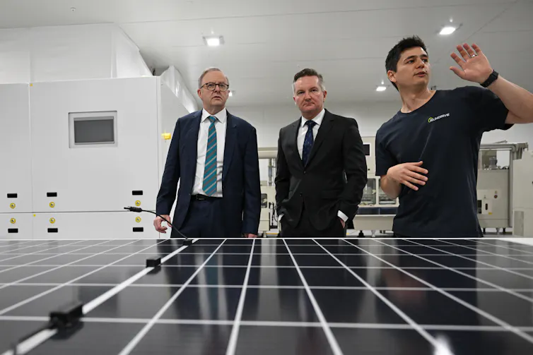 man looking at solar panels