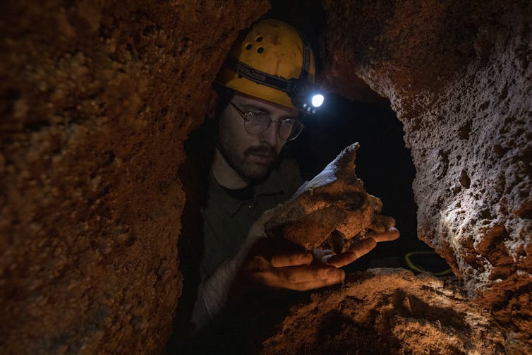A man in a dark cave wearing glasses and a hard hat with a light on it inspects a large bone.