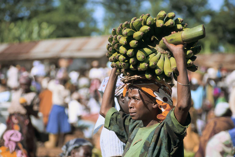 Woman with a large bunch of bananas on her head, in what appears to be a marketplace