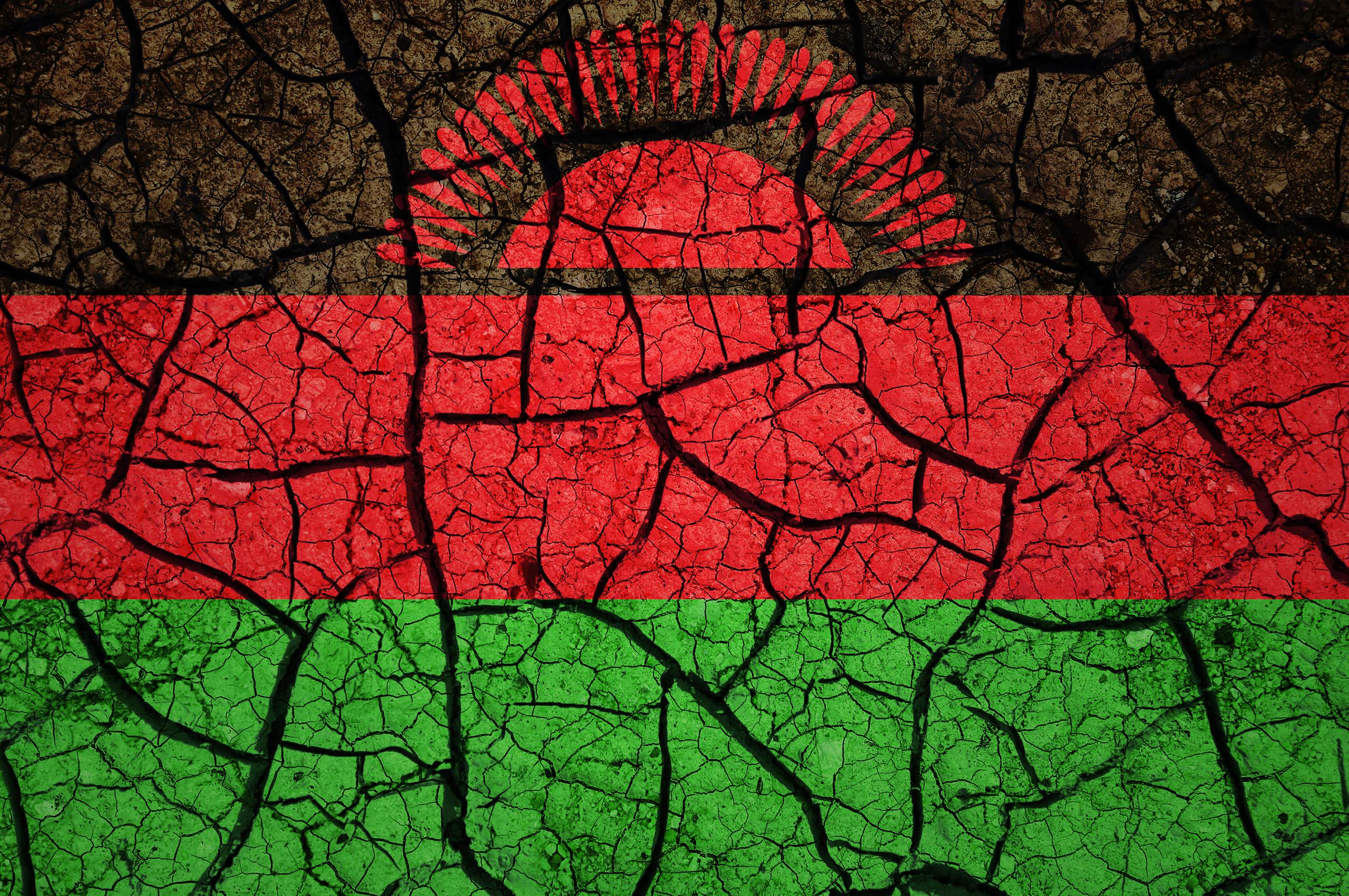 Black, red and green striped flag with rising sun emblem, with effect like cracked dried mud