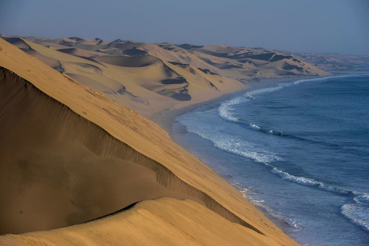 Sand dunes on the coast