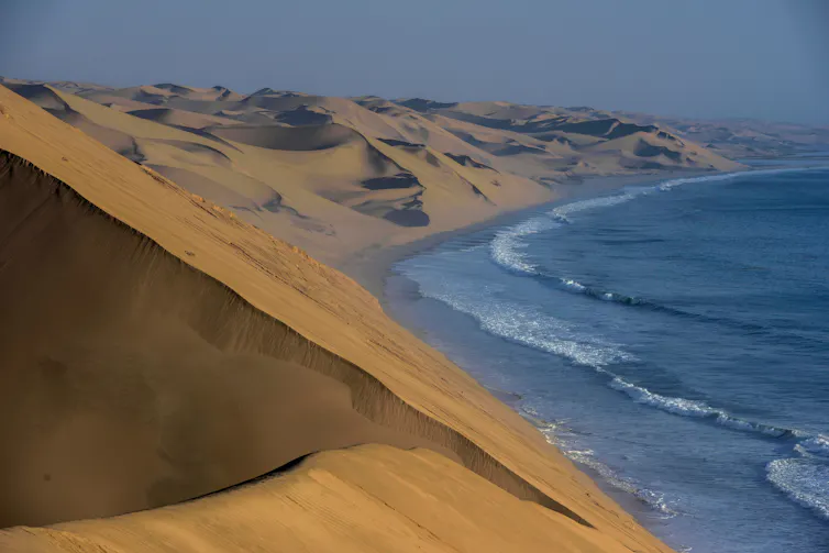 Sand dunes on the coast