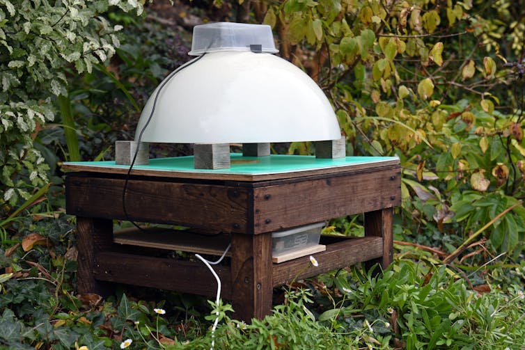 brown box, green top surface and white plastic dome, this is the equipment set up with grass and green bushes in background