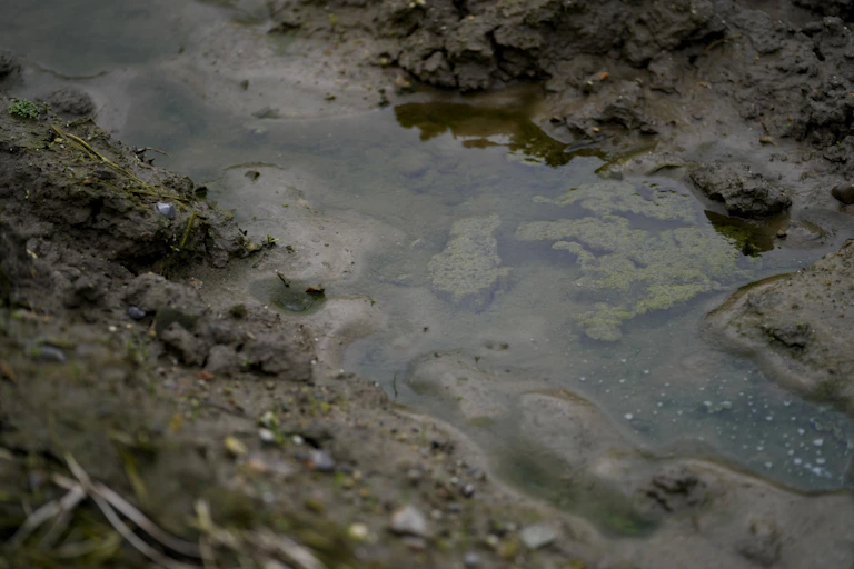 A patch of wet soil with water running through it.