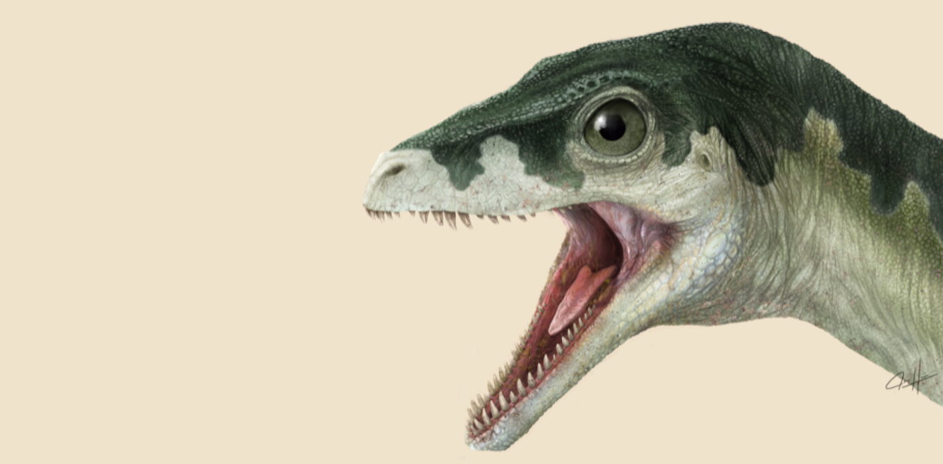Growing quickly helped the earliest dinosaurs and other ancient reptiles flourish in the aftermath of mass extinction