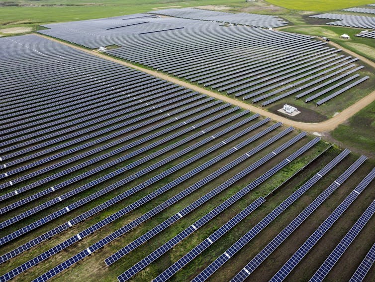 A large field of solar panels photographed from above.