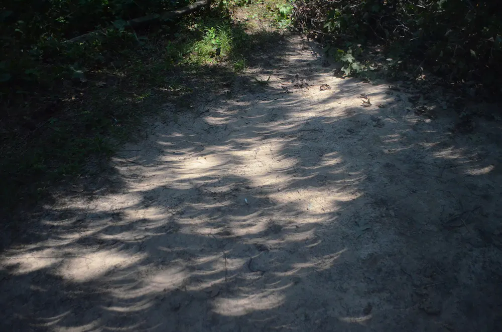 Eclipse Shadow Pattern Looking to photograph a solar eclipse with your smartphone? Try these ...