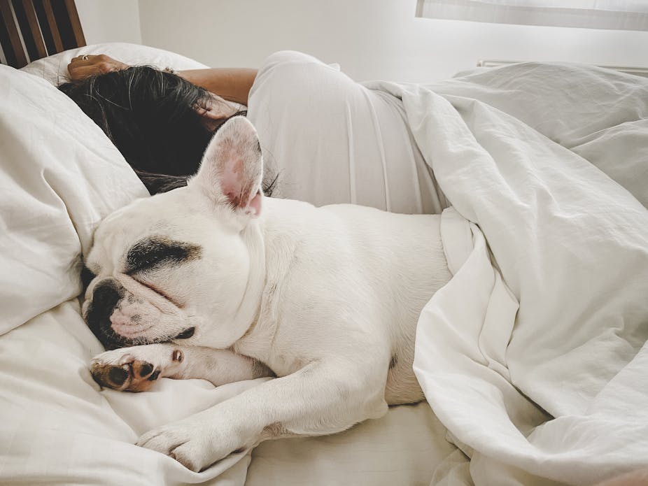 Person sleeping back to back with dog in bed