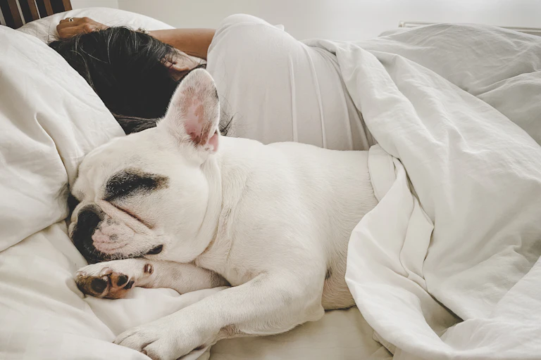 Person sleeping back to back with dog in bed