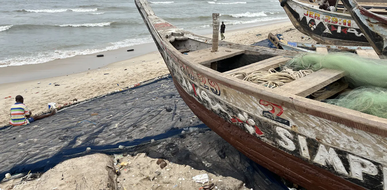 Fallen Fish West Africa’s falling fish stocks: illegal Chinese trawlers, climate ...