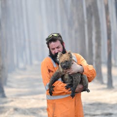 write an article for publication in a national newspaper on the topic why bushfires must be avoided
