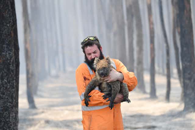 A man carries a bushfire-smoke affected koala from burnt forest on Kangaroo Island in January 2020